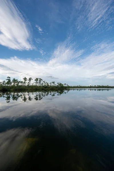 Summer Cloudscape Pine Glades Lake Everglades National Park Φλόριντα — Φωτογραφία Αρχείου