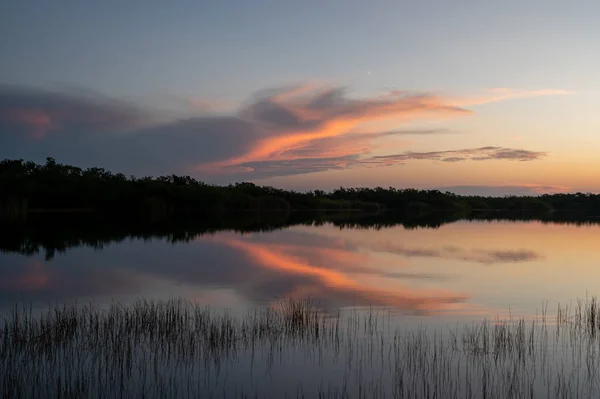 Colorido Amanecer Sobre Estanque Nueve Millas Parque Nacional Everglades Florida — Foto de Stock