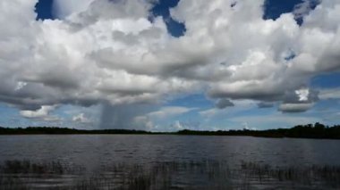 Everglades Ulusal Parkı, Florida 4K 'daki Nine Mile Pond' da kümülüs bulutu oluşumu ve yağmur yağmuru zamanı..