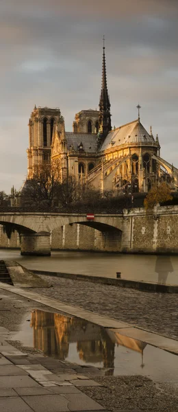 Reflection of Notre-Dame cathedral in pool after rain — Stock Photo, Image