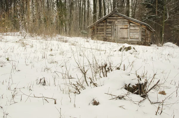 eski ahşap kulübe karda ahşap kaplı