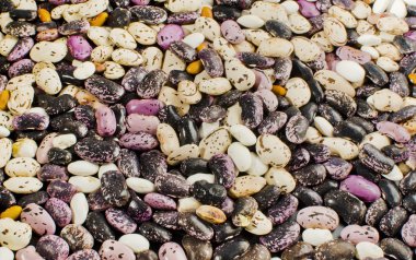 renkli kuru arka planı