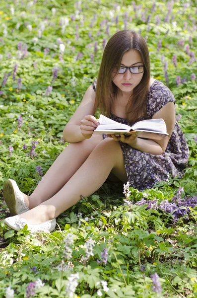 Ładne piękna dziewczyna w okularach jest czytanie książki — Zdjęcie stockowe