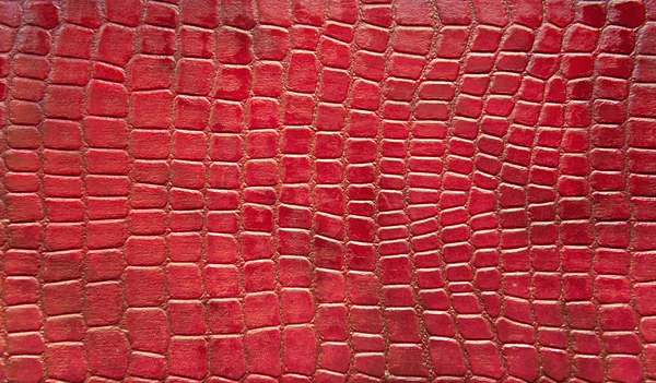 Texture de peau de crocodile rouge — Photo