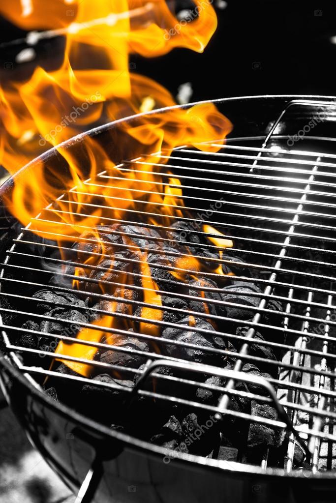 Grill fire — Stock Photo © daughter 25486227