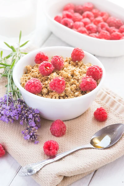 Fresh granola breakfast with raspberries and honey — Stock Photo, Image