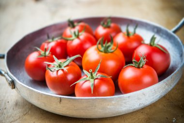 metal bir tavada rustik domates