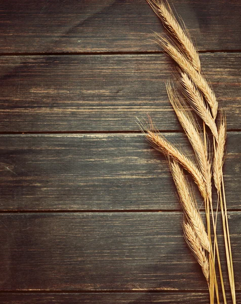 Vintage wheat background — Stock Photo, Image