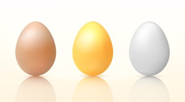 Üç vektör yumurta