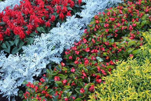 Dekoratif çiçek dokusu