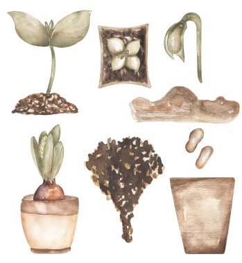 Bahçıvanlık Clipart, suluboya vintage dikim zamanı Diy klipsi sanat, Bitkiler yaşam döngüsü, biyoloji klibi, tohum illüstrasyonu, toprak, saksı, Eco çiftlik evi, merhaba bahar