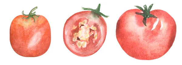 Clipart Verduras Tomate Juego Ilustración Rodajas Tomate Acuarela Arte Clip — Foto de Stock