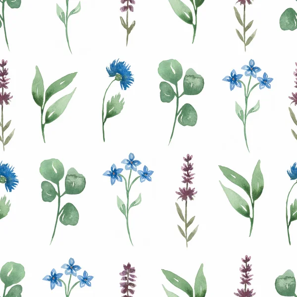 Wildflowers Seamless Pattern Watercolor Herbs Paper Meadow Flowers Endless Paper — Stock Photo, Image
