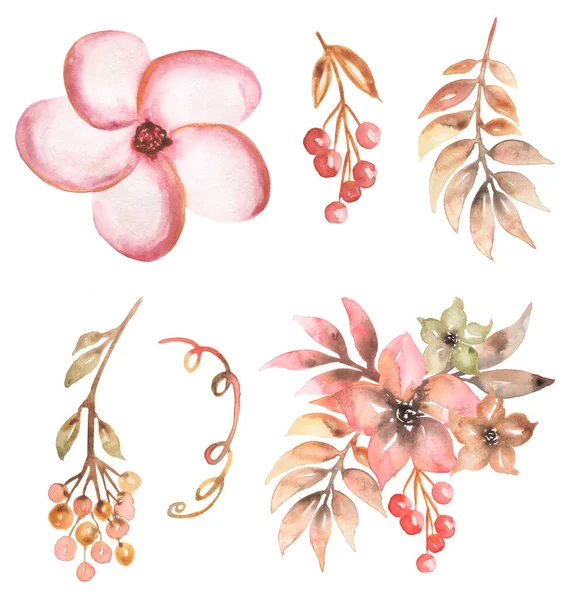 Цветочный Набор Розовые Цветы Ягоды Clipart Акварельный Букет Изготовление Карт — стоковое фото