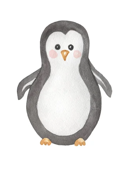 Cute Boho Animal Clipart Akvarel Ručně Kreslený Tučňák Ilustrace Děti — Stock fotografie