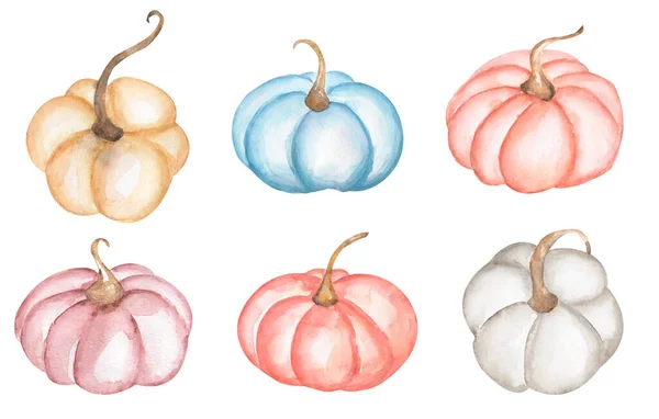 Pumpkin Clipart Set Watercolor Delicate Color Pumpkins Illustration Thanksgiving Pink — Stock Photo, Image