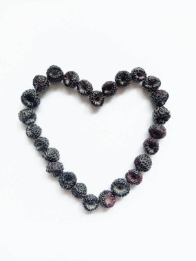 black raspberry heart. The figure of the heart is lined with ripe black raspberry berries on a white background.