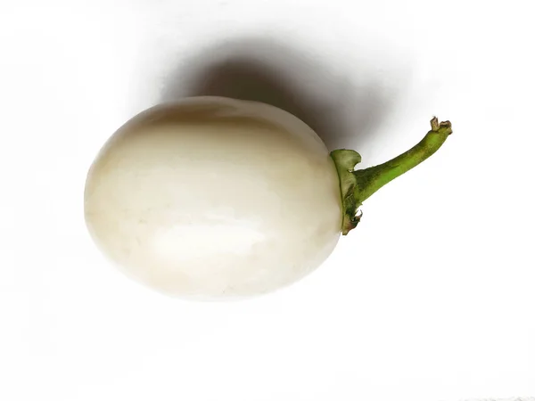 White Eggplant White Background —  Fotos de Stock