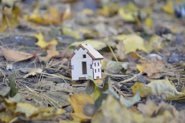 Model Small Wooden House Forest — стоковое фото