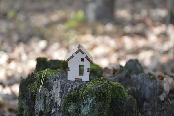 Model Małego Drewnianego Domku Lesie — Zdjęcie stockowe