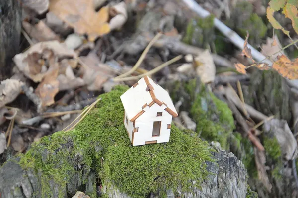 Model Van Een Klein Houten Huisje Een Bos — Stockfoto