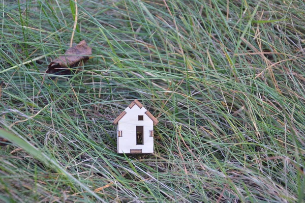 Modelo Uma Pequena Casa Madeira Uma Floresta — Fotografia de Stock