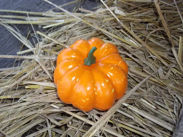 Kis Őszi Tök Halloween Erdőben — Stock Fotó