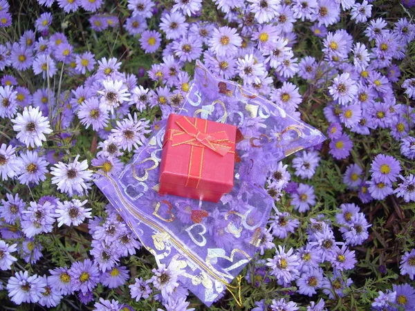 Маленькая Подарочная Коробка Фоне Голубых Цветов — стоковое фото