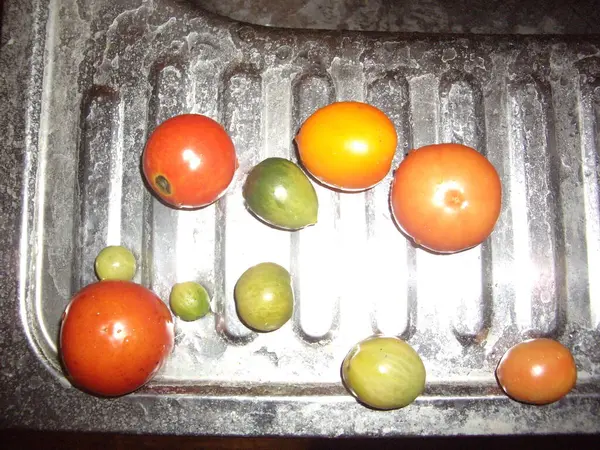 Ώριμες Ντομάτες Κείτονται Στο Μεταλλικό Νεροχύτη — Φωτογραφία Αρχείου