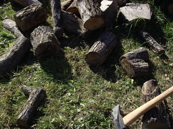 ストーブのための冬のためのヤシの木をみじん切り — ストック写真