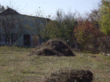 Köyde saman yığını ve bir bahçe.