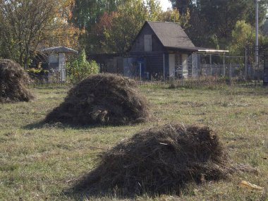 Köyde saman yığını ve bir bahçe.