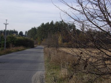 Sonbahar sonlarının panoraması.