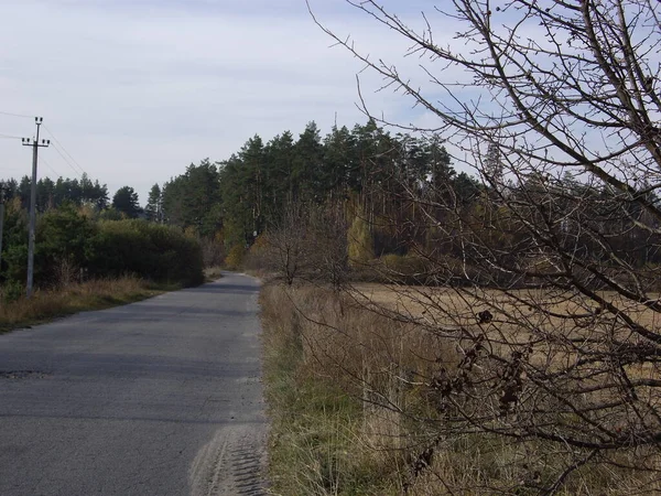 Panorama Van Het Late Herfstveld — Stockfoto