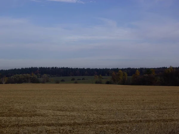 Panorama Pól Późnej Jesieni — Zdjęcie stockowe