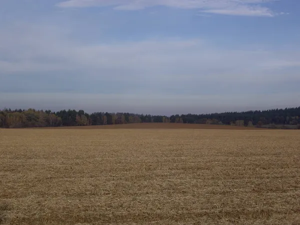 Panorama Late Autumn Field — Stock Photo, Image