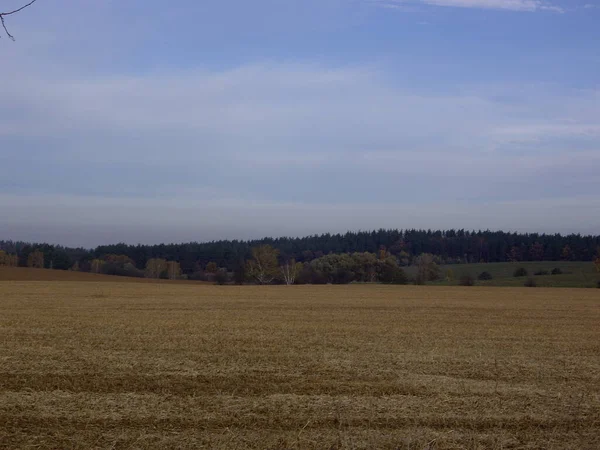 Panorama Pól Późnej Jesieni — Zdjęcie stockowe
