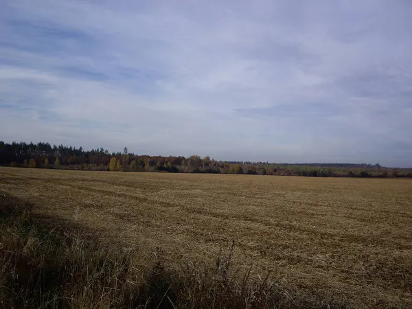 Panorama Eines Spätherbstlichen Feldes — Stockfoto