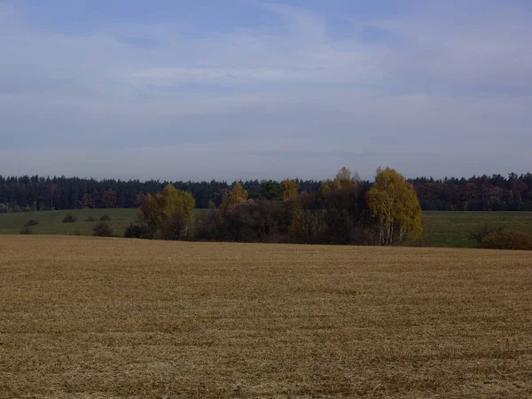 Panorama Late Autumn Field — Stock Photo, Image