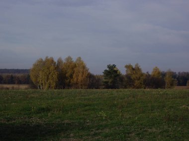 Sonbahar sonlarının panoraması.