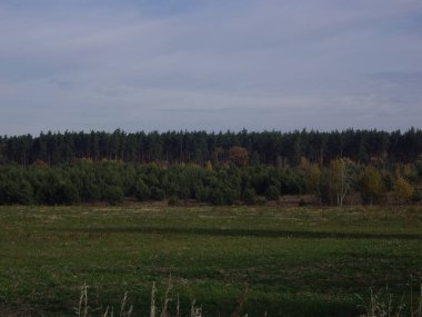 Sonbahar sonlarının panoraması.