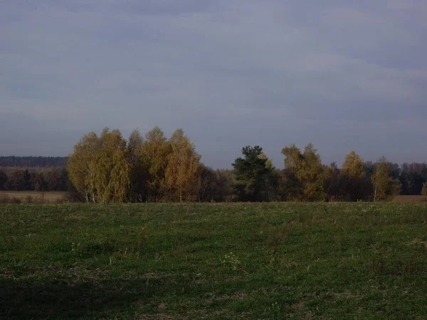 Sonbahar sonlarının panoraması.