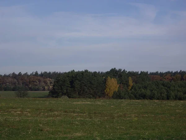 Sonbahar sonlarının panoraması.