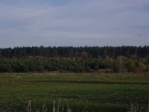 Panorama Late Autumn Field — Stock Photo, Image
