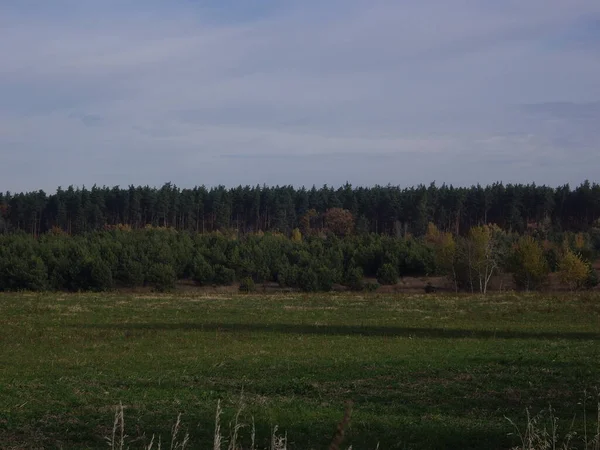 Panorama Pól Późnej Jesieni — Zdjęcie stockowe