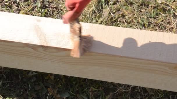 Schilderen Van Houten Planken Ter Bescherming Tegen Vocht — Stockvideo