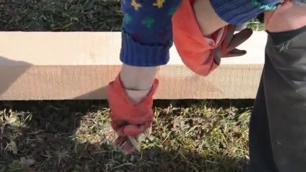 Pintura Pranchas Madeira Para Proteger Contra Umidade — Vídeo de Stock