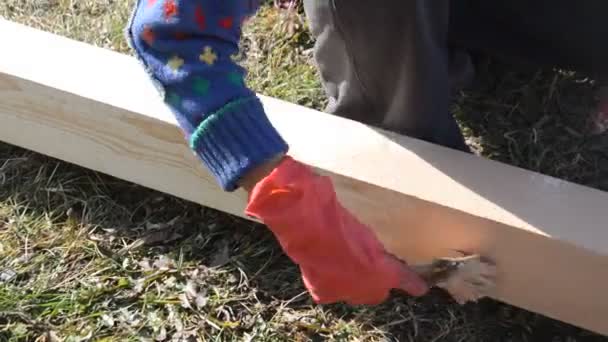 Schilderen Van Houten Planken Ter Bescherming Tegen Vocht — Stockvideo