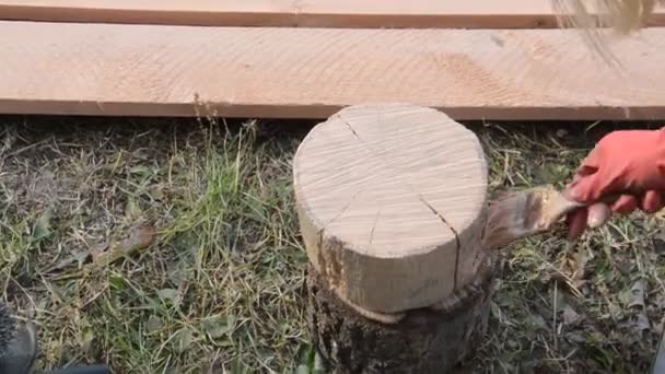 Schilderen Van Houten Planken Ter Bescherming Tegen Vocht — Stockvideo