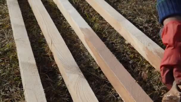 Bemalen Von Holzbohlen Zum Schutz Vor Feuchtigkeit — Stockvideo